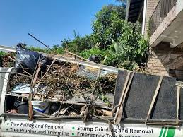 Best Shed Removal  in Wentworth, NC